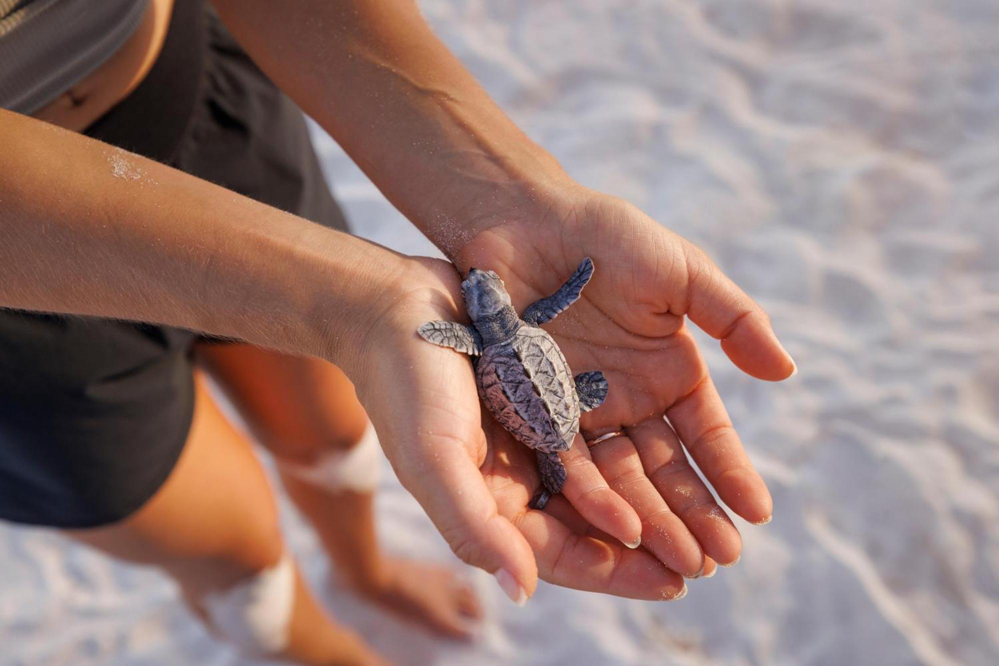 Sandals Barbados All Inclusive - Couples Only (Adults Only) Christchurch Eksteriør billede