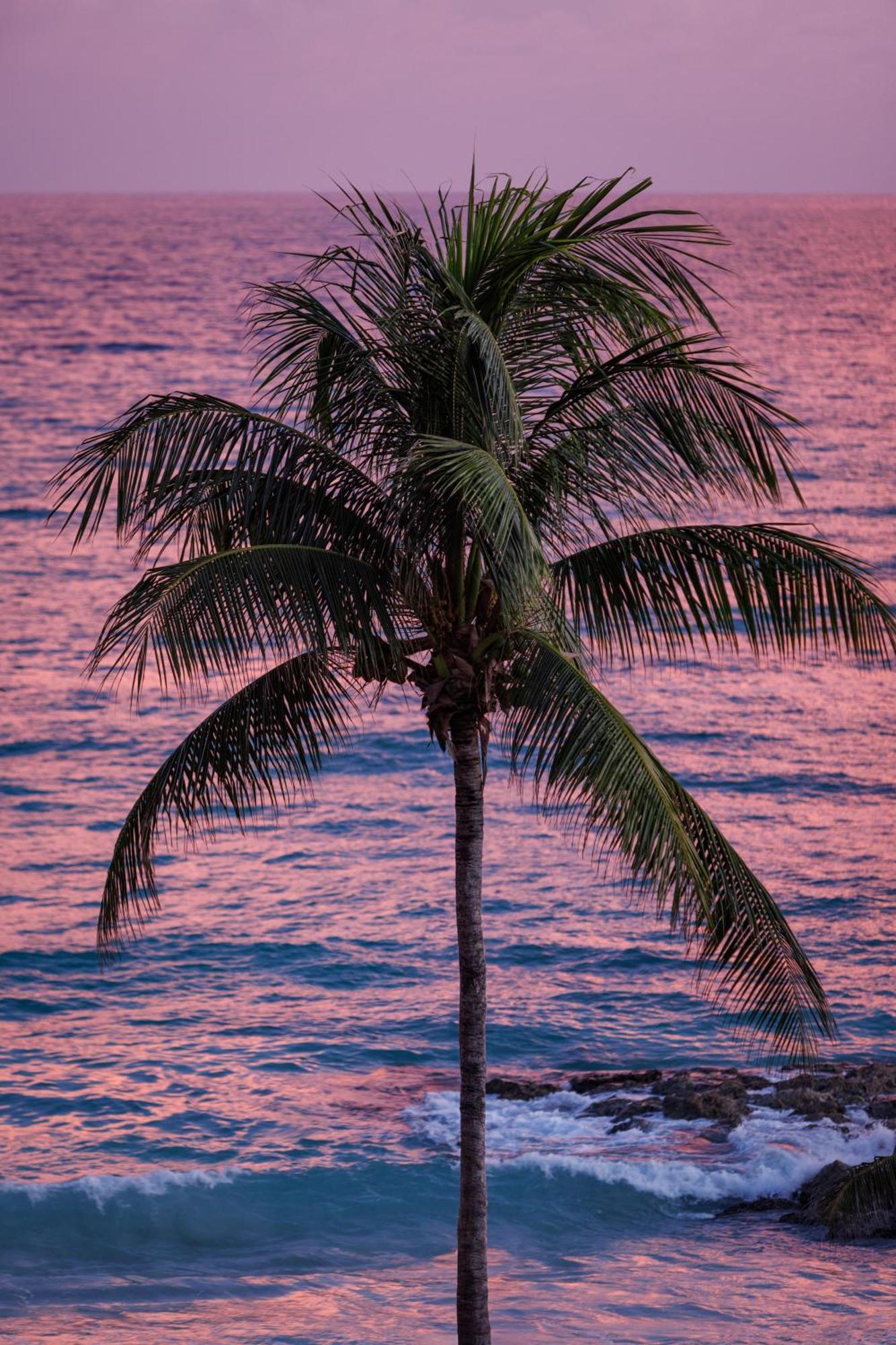 Sandals Barbados All Inclusive - Couples Only (Adults Only) Christchurch Eksteriør billede